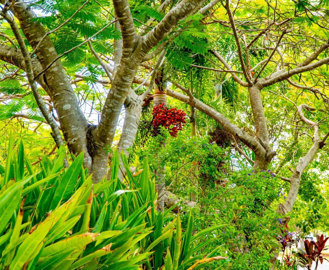 Sunbird Gardens Vila Agnes Water Exterior foto